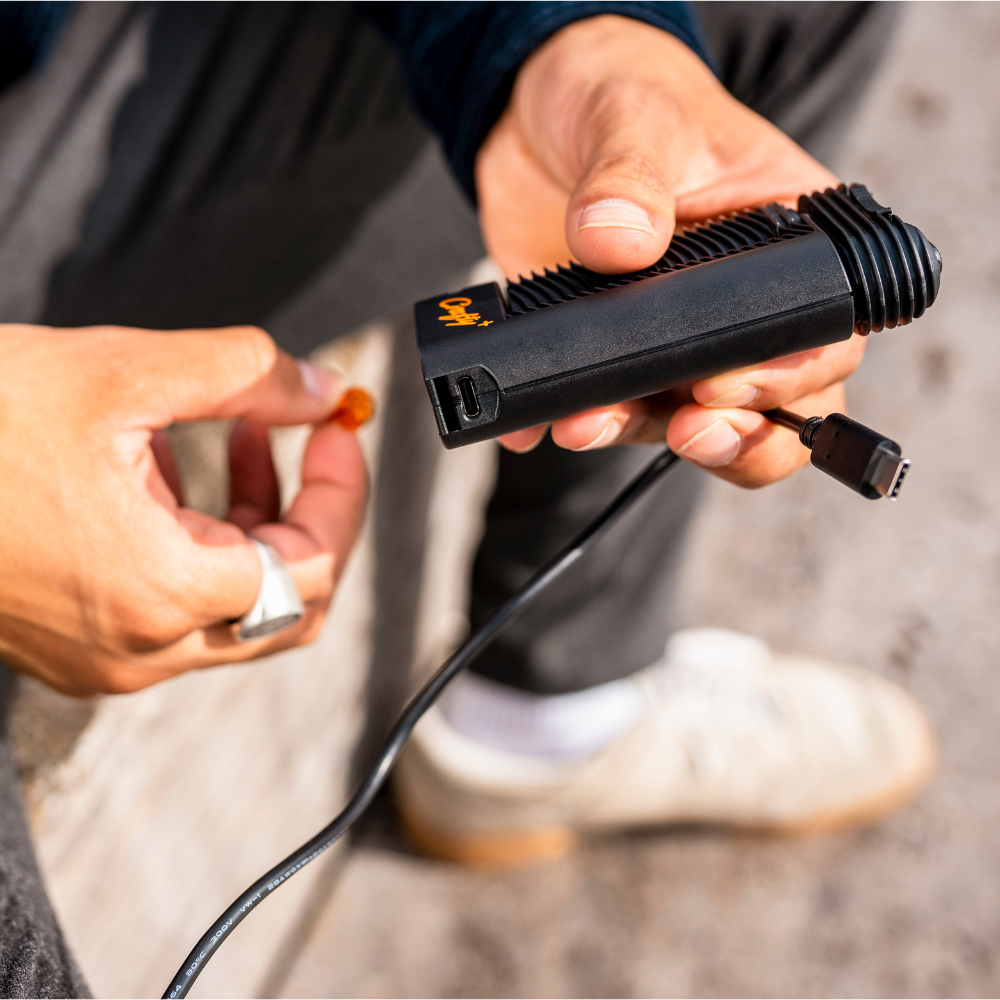 Storz & Bickel Crafty+ Vaporizer
