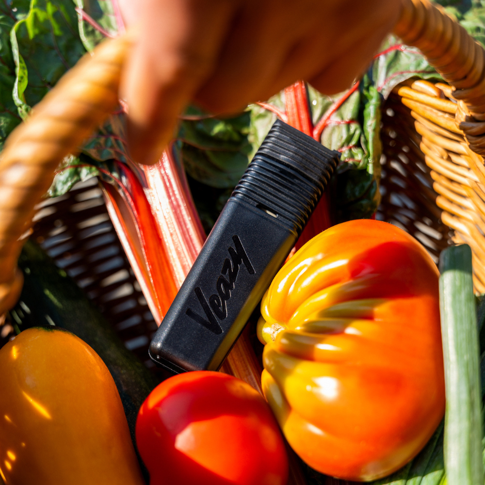 Storz & Bickel Veazy Vaporizer